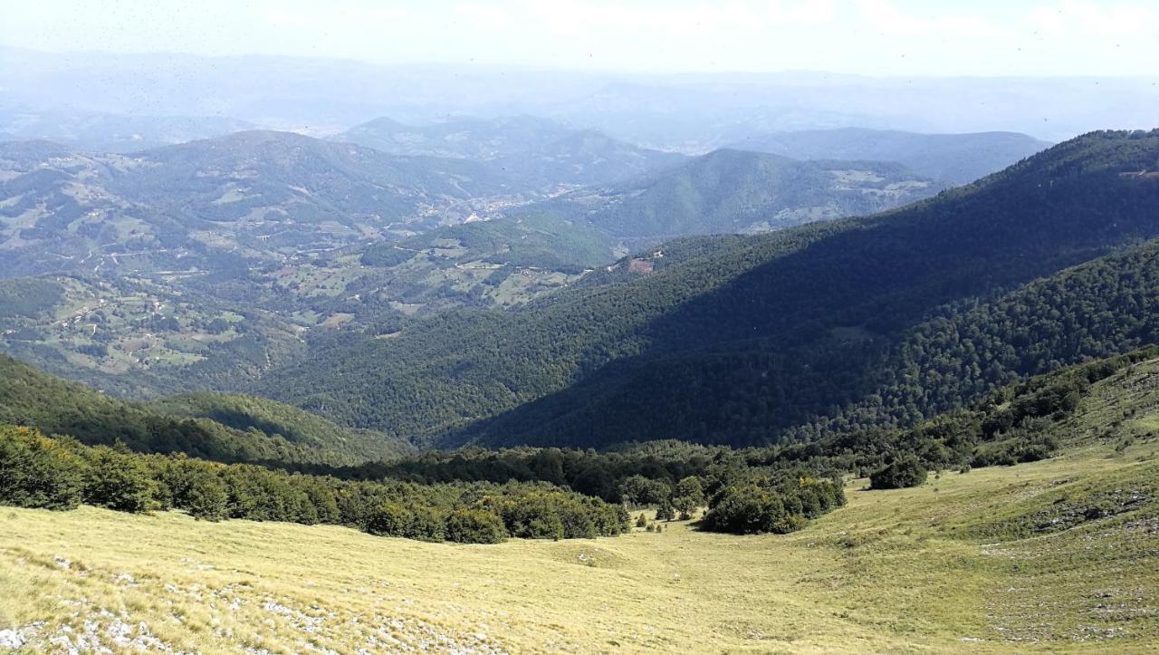 Koliba Pcelica 2 Villa Bijelo Polje Exteriör bild