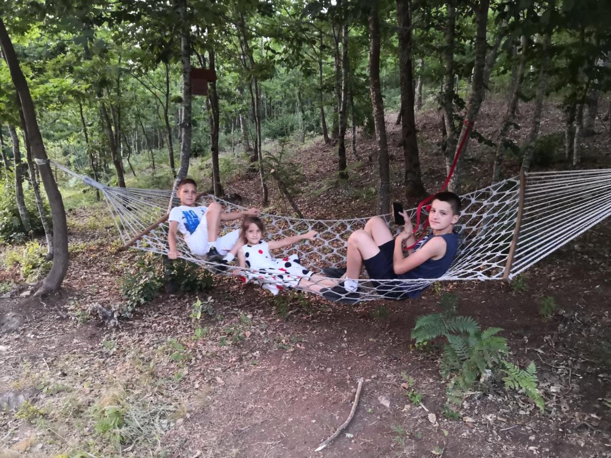 Koliba Pcelica 2 Villa Bijelo Polje Exteriör bild